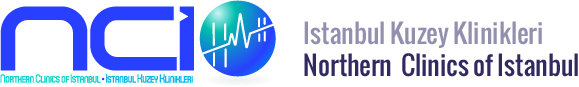 Northern Clinics of Istanbul