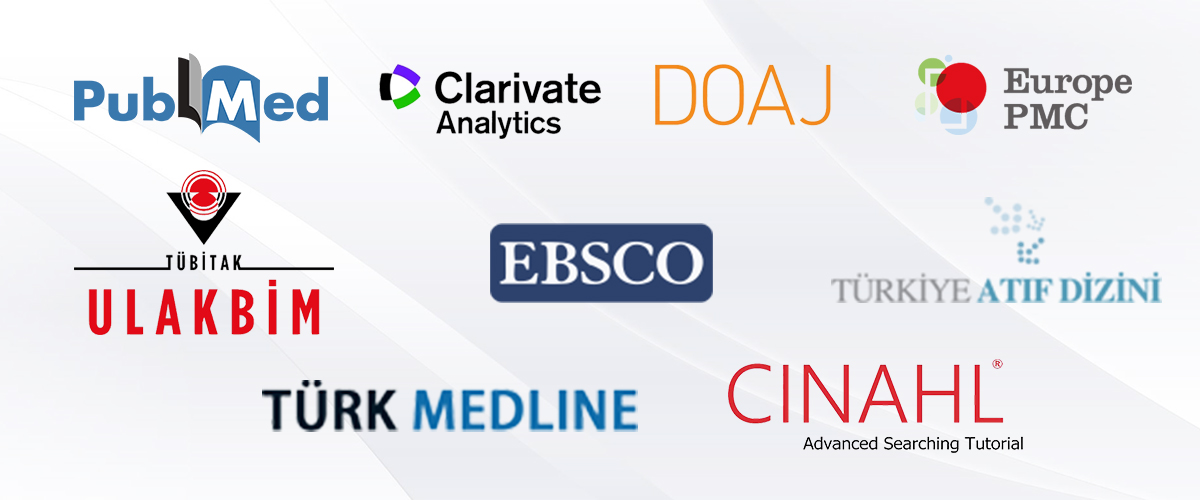 Northern Clinics of Istanbul